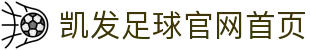 凯发足球官网首页 - (中国)广西凯发足球官网首页网络科技公司欢迎您